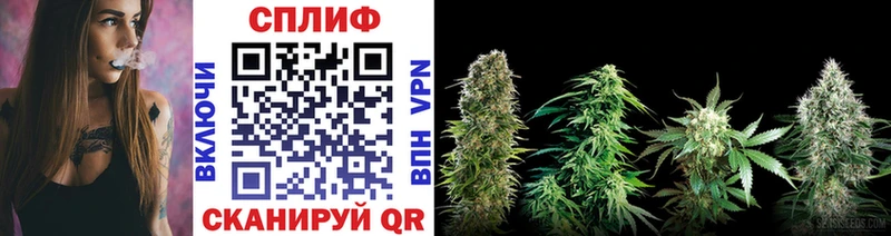 Продажа наркотиков Алзамай Бошки Шишки  Alpha PVP  ГАШИШ  Меф мяу мяу  Экстази  Кокаин 