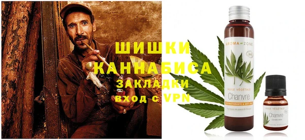 гидропоника Алзамай