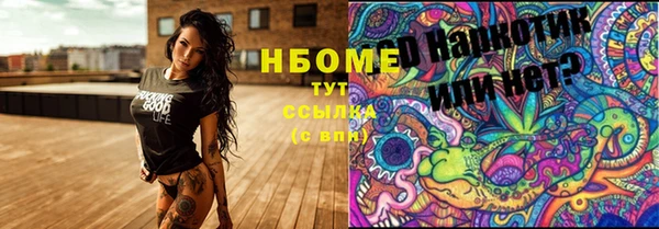 гидропоника Алзамай