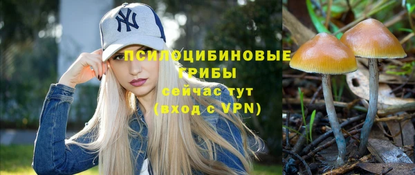 амфетамин Осинники