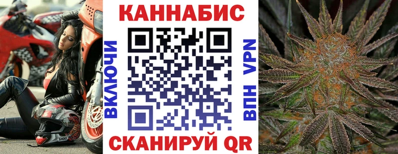 Канабис конопля Алзамай